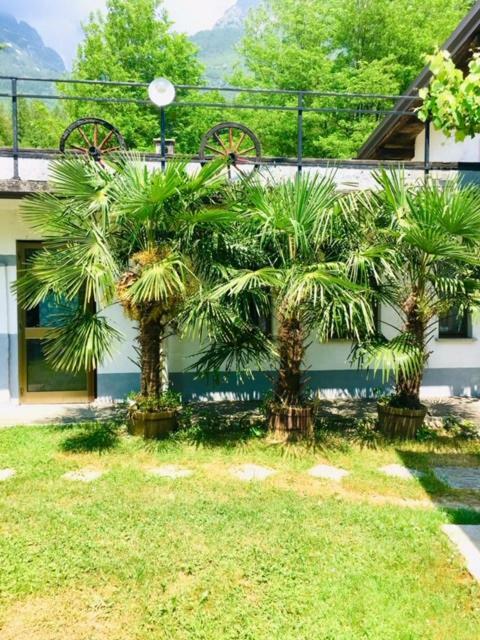 Apartmaji Jana